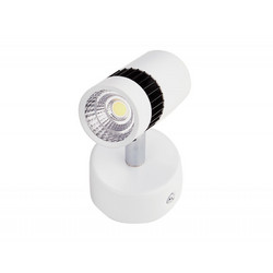 Накладной светильник Ambrella Light TN101/5W WH/BK