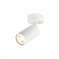 Потолочный светильник ST LUCE ST303.502.01