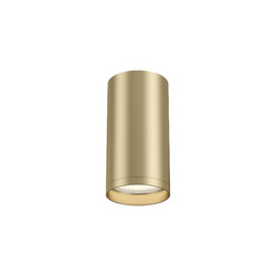 Потолочный светильник Maytoni FOCUS S C052CL-01MG