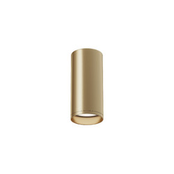 Потолочный светильник Maytoni Focus C010CL-01MG