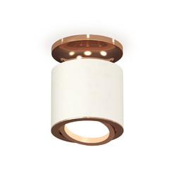 Накладной поворотный светильник Ambrella Light Techno XS7401140 (N7930, C7401, N7005)