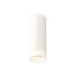 Потолочный светильник Ambrella Light Techno Spot XS6342043 (C6342, N6248)