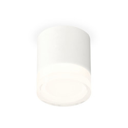Потолочный светильник Ambrella Light Techno Spot XS7401043 (C7401, N7160)