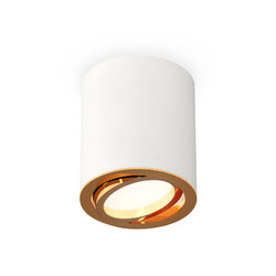Потолочный светильник Ambrella Light Techno Spot XS7421003 (C7421, N7004)