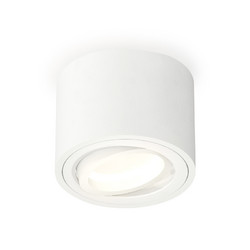 Потолочный светильник Ambrella Light Techno Spot XS7510001 (C7510, N7001)
