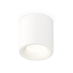 Потолочный светильник Ambrella Light Techno Spot XS7531020 (C7531, N7010)