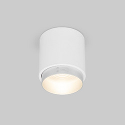 Накладной светильник Elektrostandard Cors 4690389192180 a062387