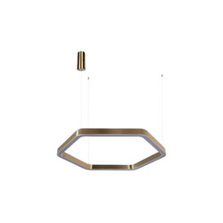 Подвесная люстра Loft IT Titanium 10243M Gold