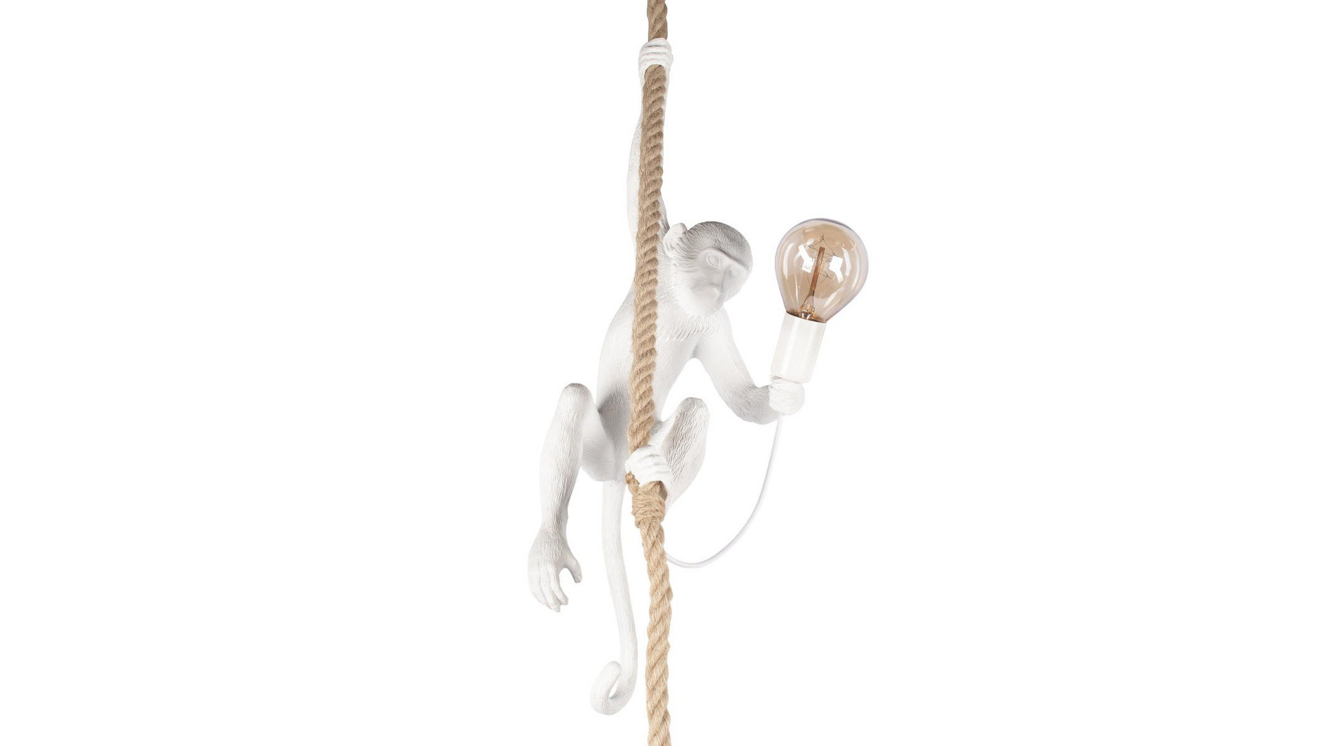 Подвесной светильник Loft IT Monkey 10314P