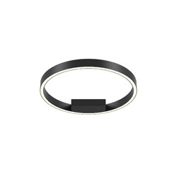 Потолочный светильник Maytoni Rim MOD058CL-L25BK
