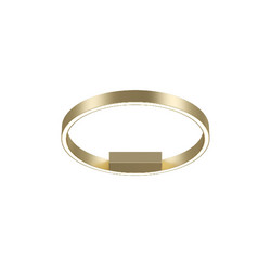 Потолочный светильник Maytoni Rim MOD058CL-L25BSK