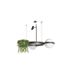 Подвесная люстра Loft IT Jardin 10121/2 Dark grey