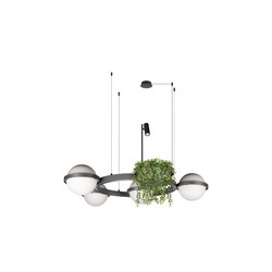 Подвесная люстра Loft IT Jardin 10121/4 Dark grey