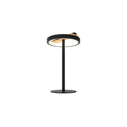 Настольная лампа Lightstar Lodi 723927