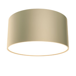 Потолочный светильник Maytoni Technical CeilingWall Zon C032CL-12W3K-RD-MG