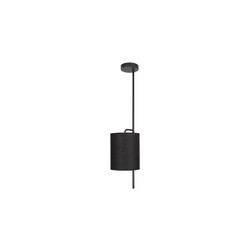 Потолочный светильник Loft IT Ritz 10253P Black
