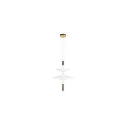 Подвесной светильник Loft IT Skylar 10244/B Brass