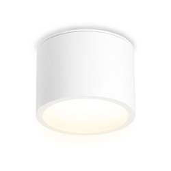 Накладной светильник Ambrella Light IP Protect TN6550
