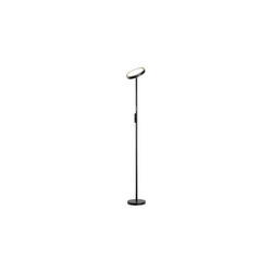 Торшер Lussole Carmel LSP-0901-SE