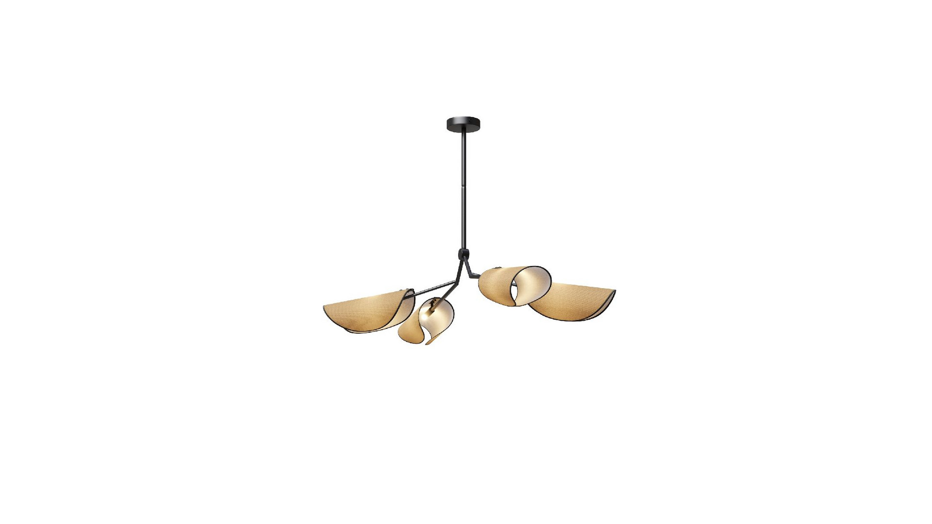 Подвесная люстра Maytoni Organic MOD225PL-04B