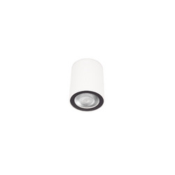Накладной светильник Loft IT Rush 10344 White