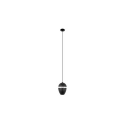 Подвесной светильник Loft IT Viterbo 10336 Black