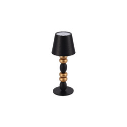 Настольная лампа ST Luce Ease SL1011.414.01
