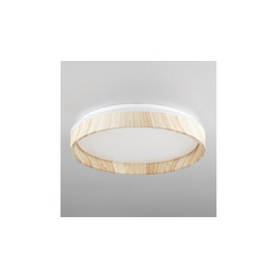Потолочный светильник Citilux Enzo CL753352G