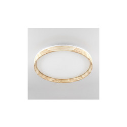Потолочный светильник Citilux Enzo CL753452G