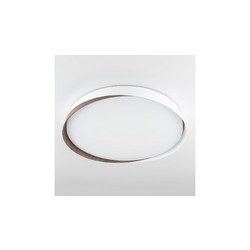 Потолочный светильник Citilux Bonny CL754450G