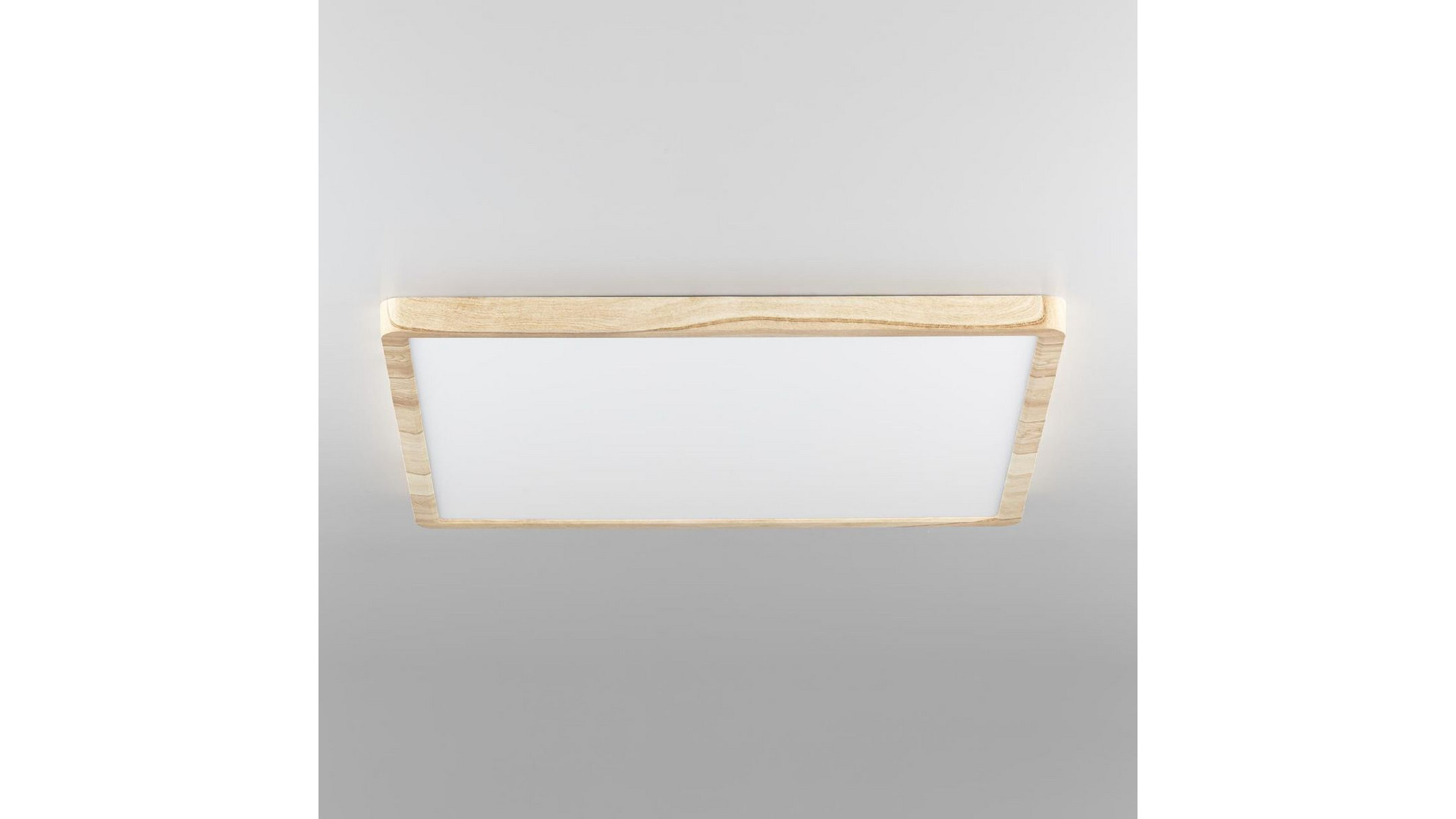 Потолочный светильник Citilux Бейсик CL738K502V