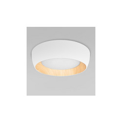 Потолочный светильник Loft IT Folk 10255/500 White