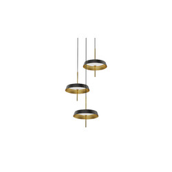 Подвесной светильник DeLight Collection MD18001061-3B black/gold