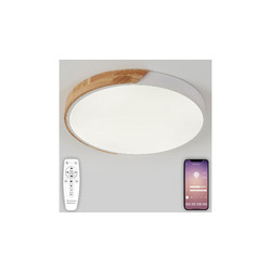 Потолочный светильник Natali Kovaltseva Scandinavian LED LAMPS 81182