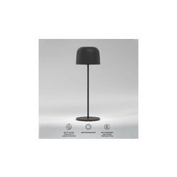 Уличная настольная лампа Elektrostandard Bitty TL70260 4690389211638 a069002