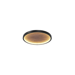Потолочный светильник Maytoni Orign MOD311CL-L40B3K