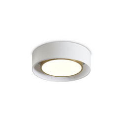 Потолочный светильник Freya Cozy FR6170CL-L52BS