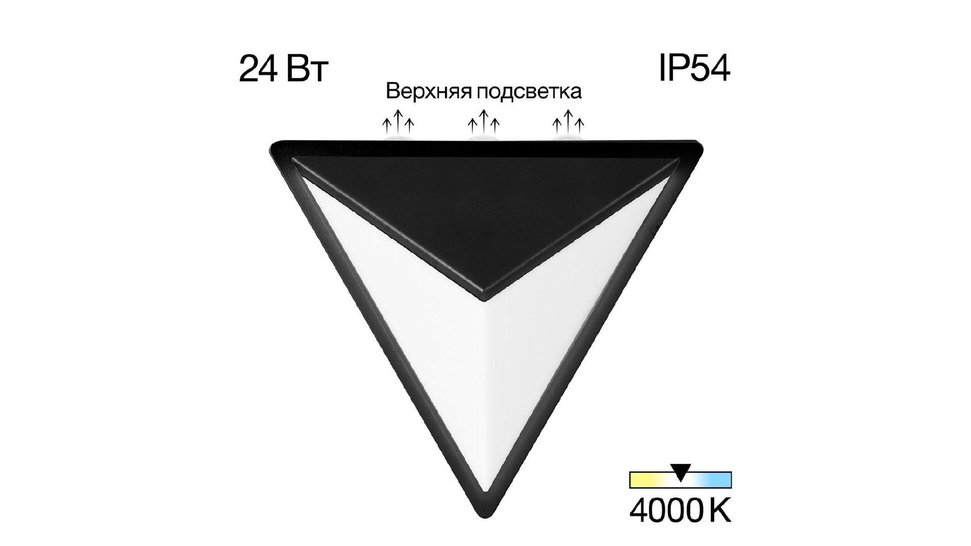 Уличный настенный светильник Citilux Domus CLU0804BK