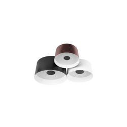 Потолочный светильник Loft IT Duo 10360/3