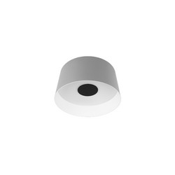 Потолочный светильник Loft IT Duo 10360M Grey