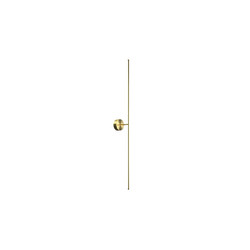 Настенный светильник Maytoni Elegant C084WL-L18BS2.7K
