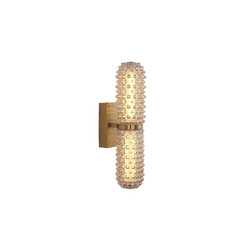 Настенный светильник ST Luce Saguaro SL6144.301.01