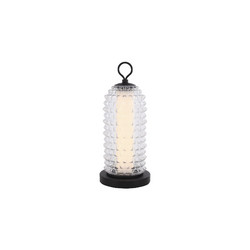Настольная лампа ST Luce Saguaro SL6144.404.01