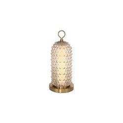 Настольная лампа ST Luce Saguaro SL6144.304.01