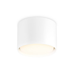 Накладной светильник Ambrella Light Techno Spot TN5301
