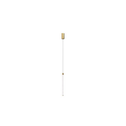 Подвесной светодиодный светильник Maytoni Technical Ray P022PL-L20G3K