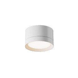 Потолочный светильник Maytoni Technical Hoop C086CL-GX53-SRD-W