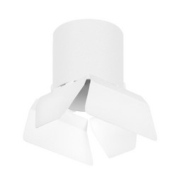 Накладной светильник Lightstar Rullo (213486+202486) R3486486