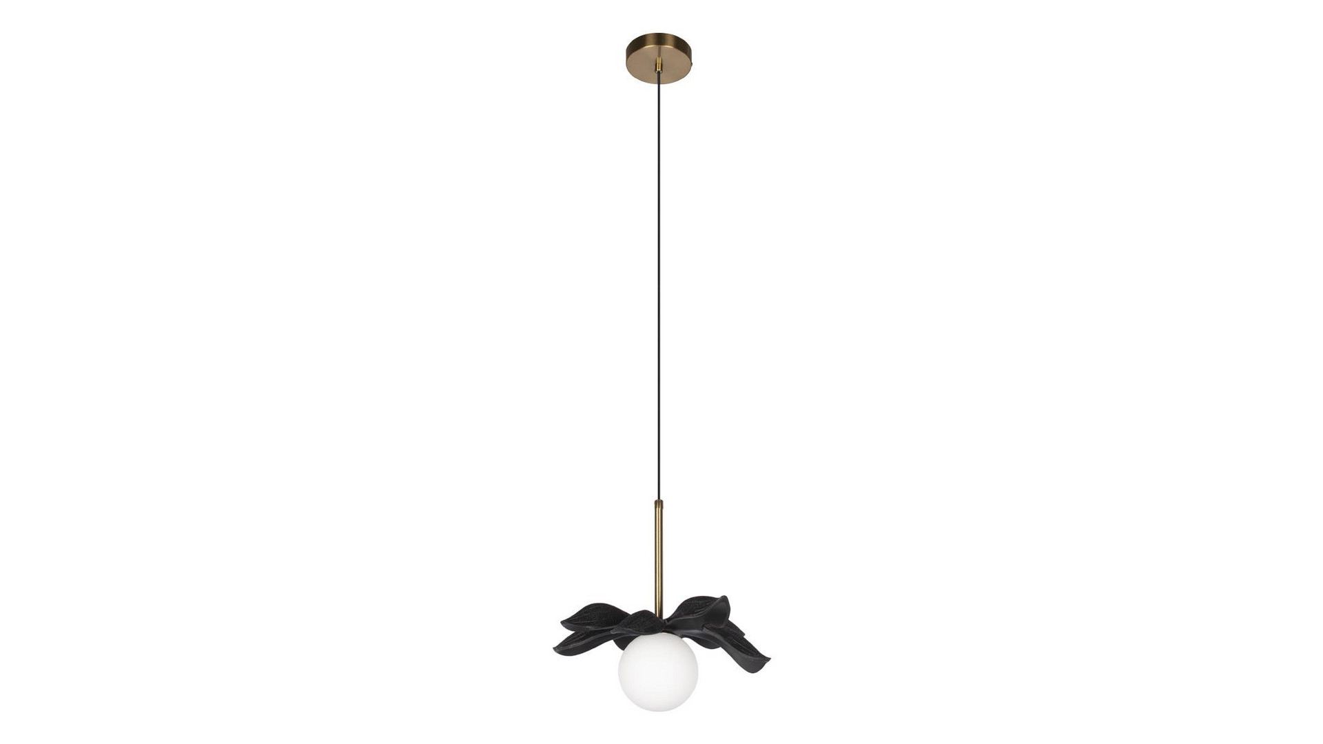 Подвесной светильник Loft IT Monro 10213/A Black