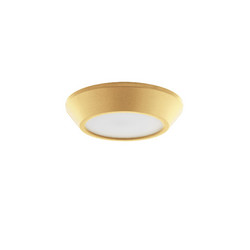 Накладной светильник Lightstar Urbano mini 214732